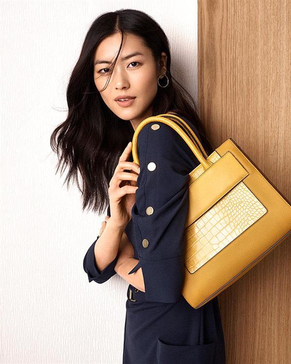 Liu Wen