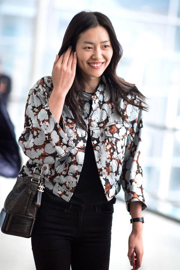 Liu Wen