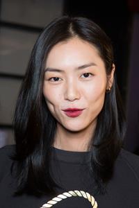 Liu Wen