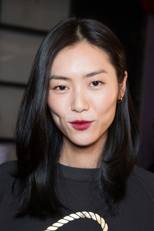 Liu Wen
