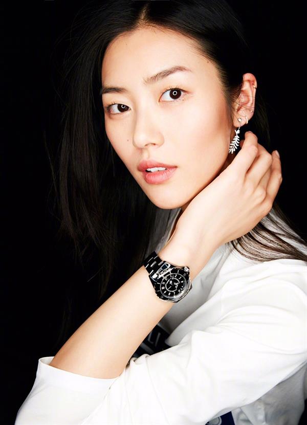 Liu Wen