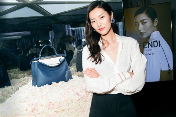 Liu Wen