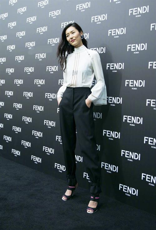 Liu Wen