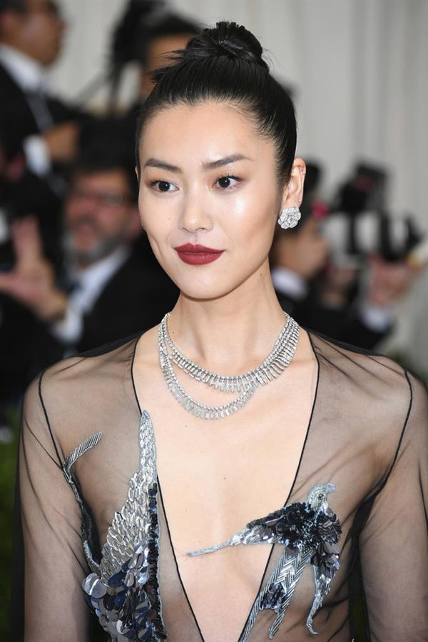 Liu Wen