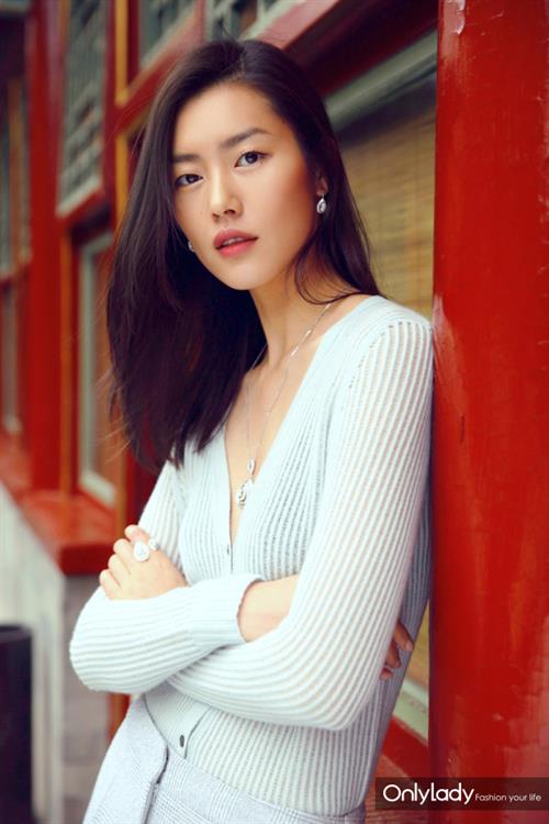 Liu Wen