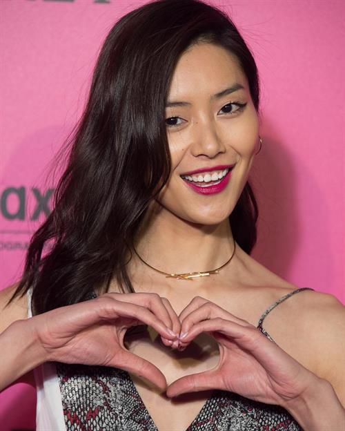 Liu Wen
