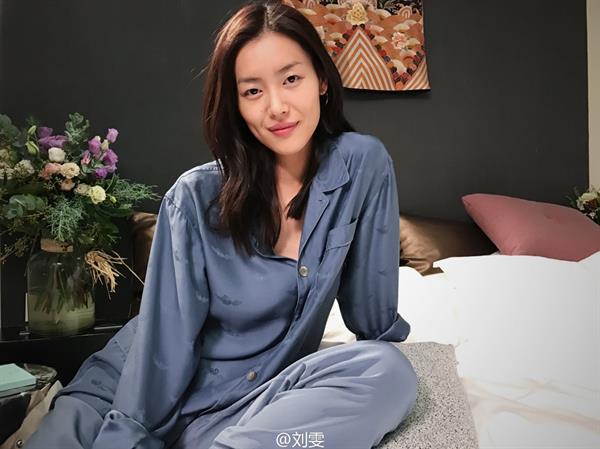 Liu Wen