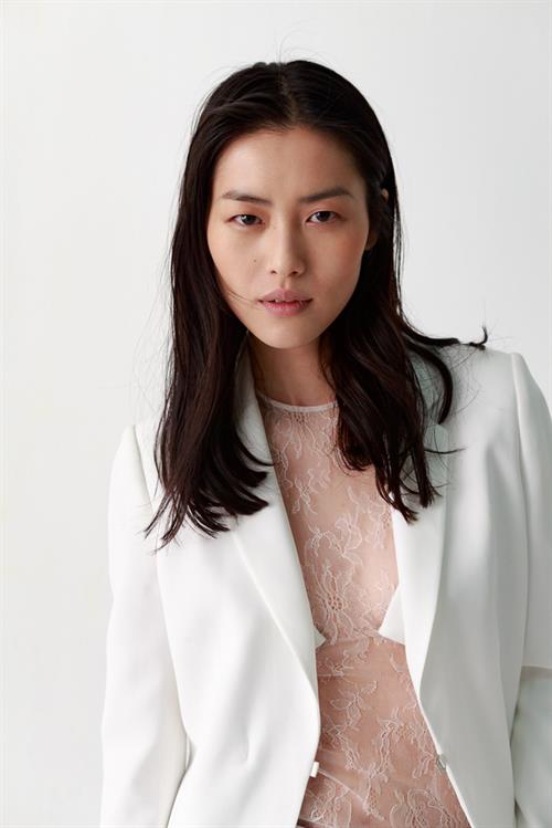 Liu Wen