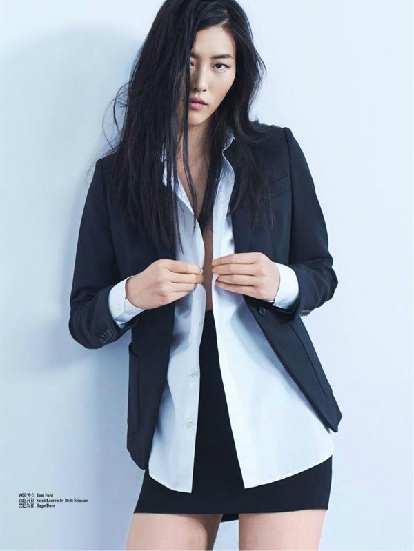 Liu Wen