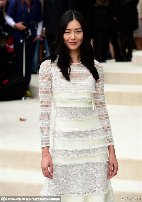 Liu Wen