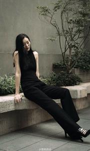Liu Wen