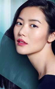 Liu Wen