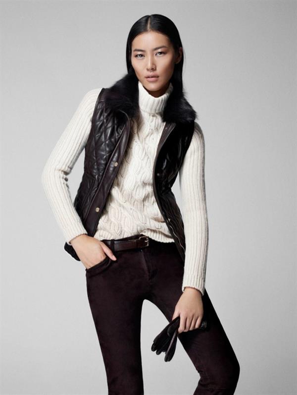 Liu Wen