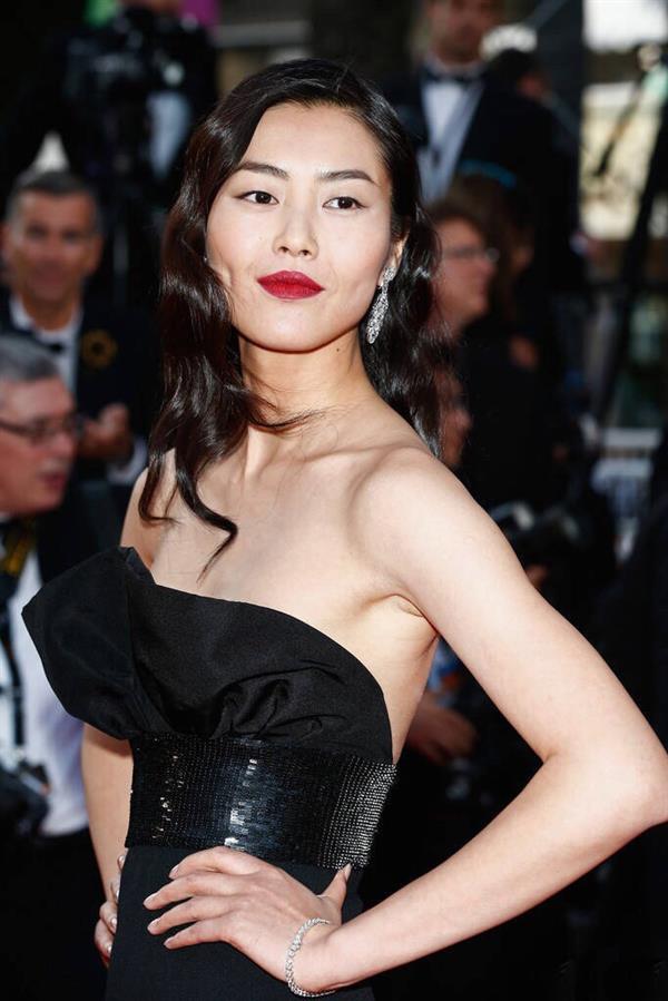 Liu Wen