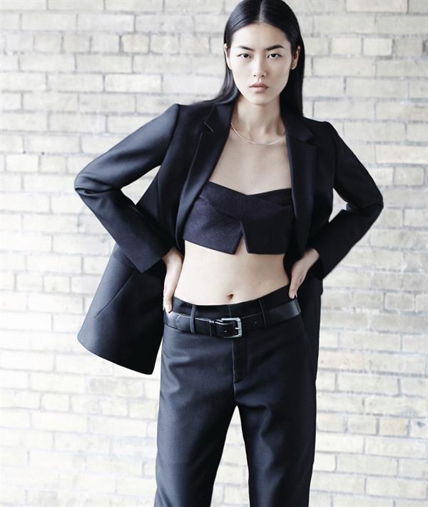 Liu Wen