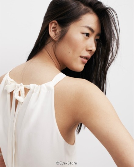 Liu Wen