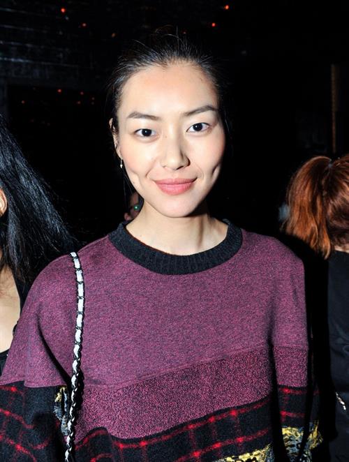 Liu Wen