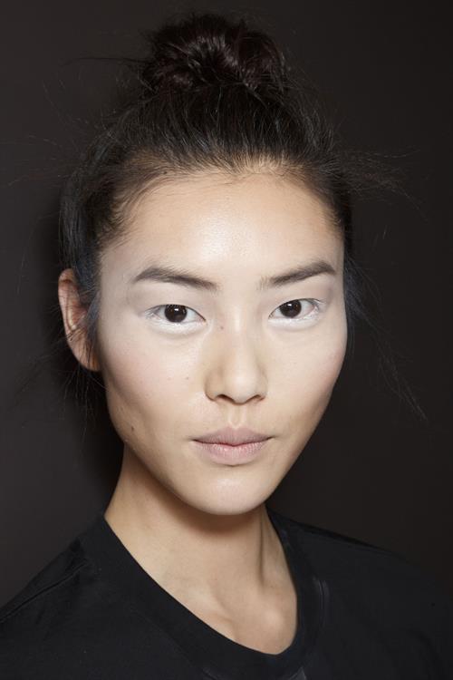 Liu Wen