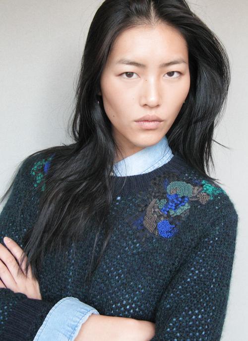 Liu Wen