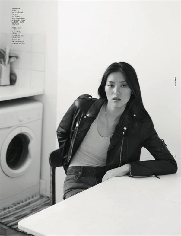 Liu Wen