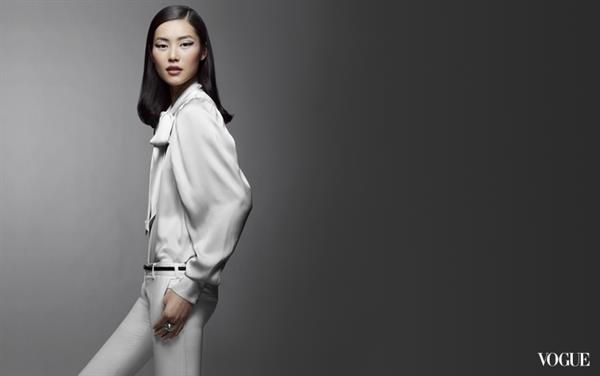 Liu Wen