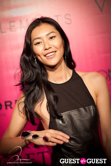 Liu Wen