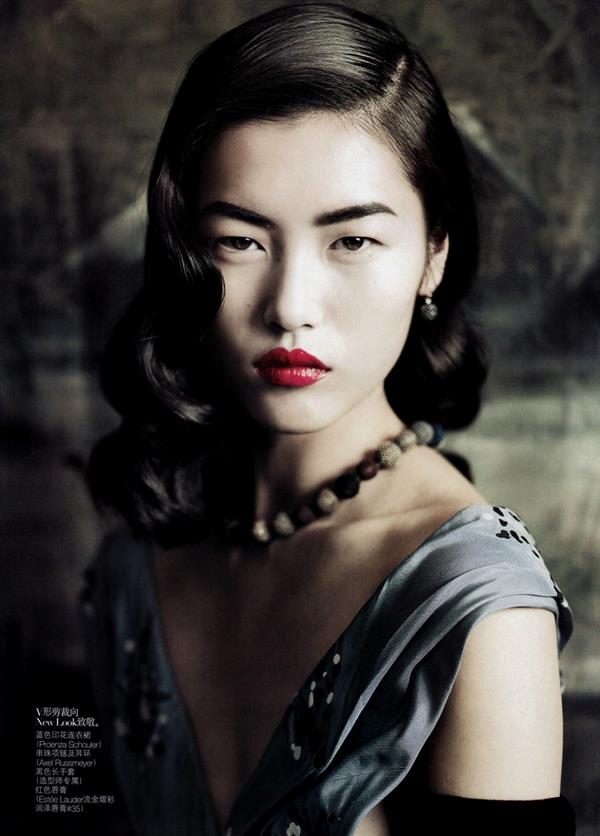 Liu Wen