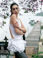 Liu Wen