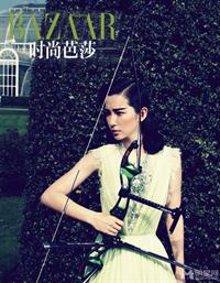 Li Bingbing