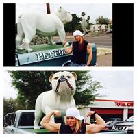 Amanda Michelle Folstad Ptak