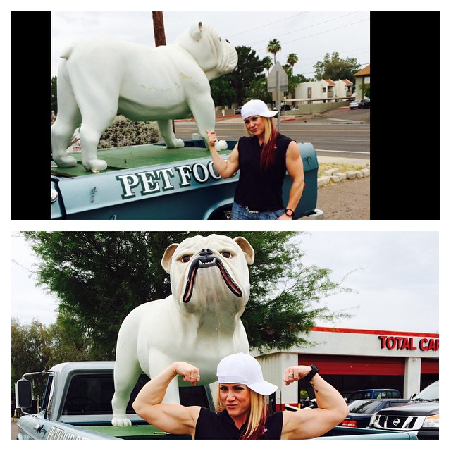 Amanda Michelle Folstad Ptak