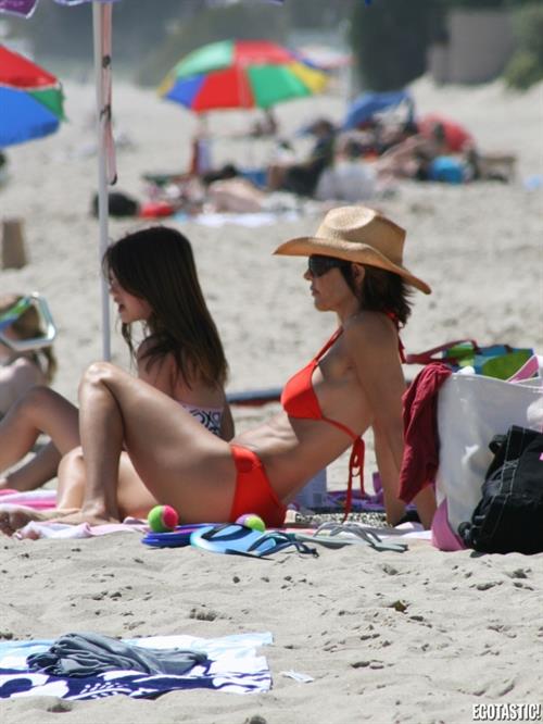 Lisa Rinna in a bikini