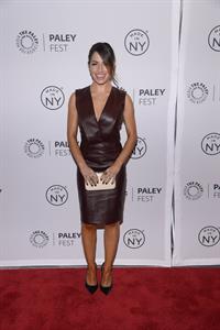 Sarah Shahi  Person of Interest  panel during 2013 PaleyFest: Made In New York on Oct. 3, 2013