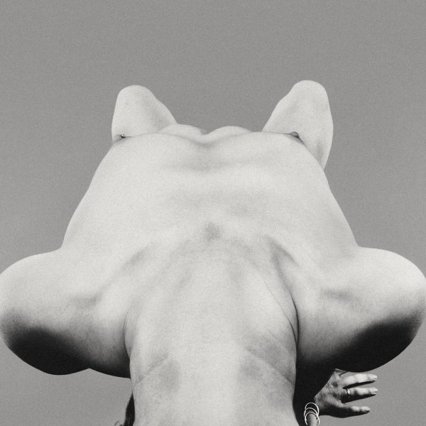 Ali Michael - Documento Numero 1 by Chadwick Tyler MQ Photo Shoot