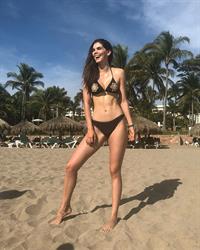 Denisse Franco in a bikini