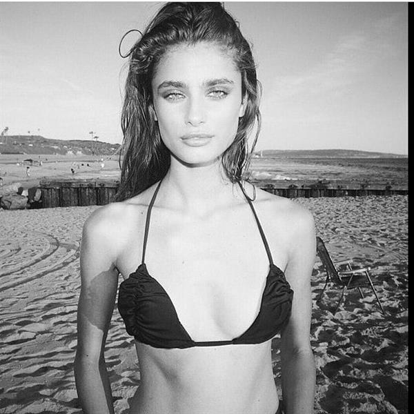 Taylor Marie Hill in a bikini