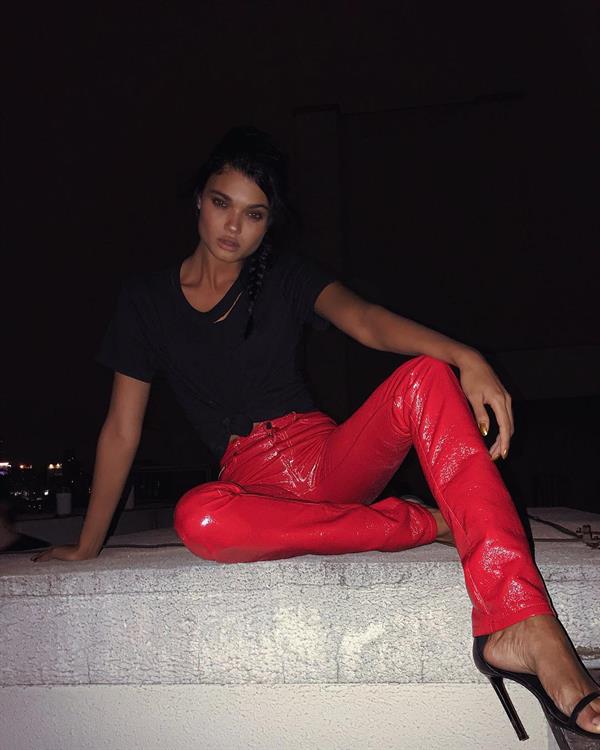 Daniela Braga