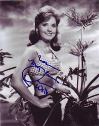 Dawn Wells