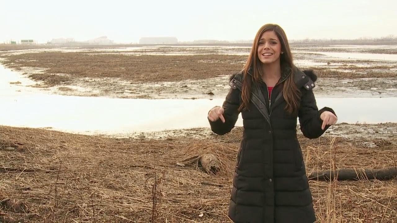 Katie Nolan