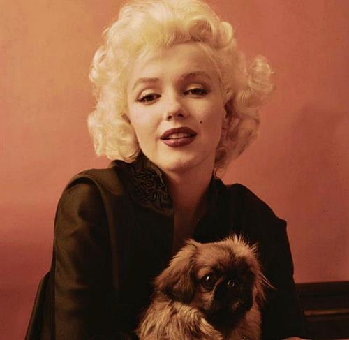 Marilyn Monroe