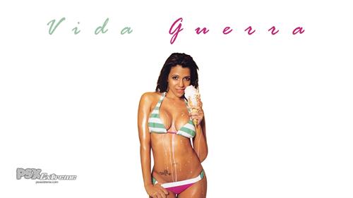 Vida Guerra in a bikini