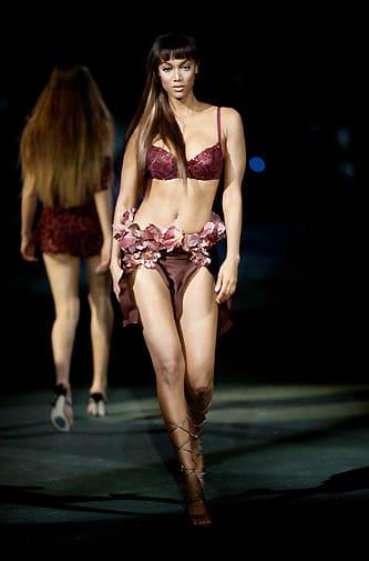 Tyra Banks in lingerie