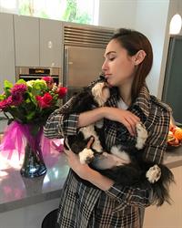 Gal Gadot