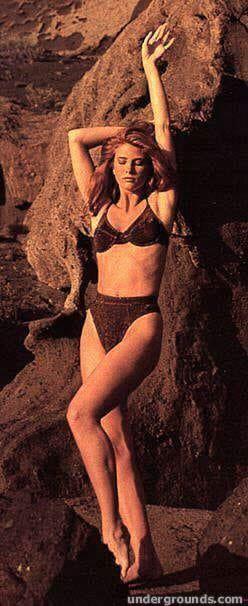 Angie Everhart in lingerie