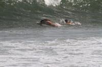 Nina Agdal sexy ass in a thong bikini at the beach with her boyfriend seen by paparazzi.











