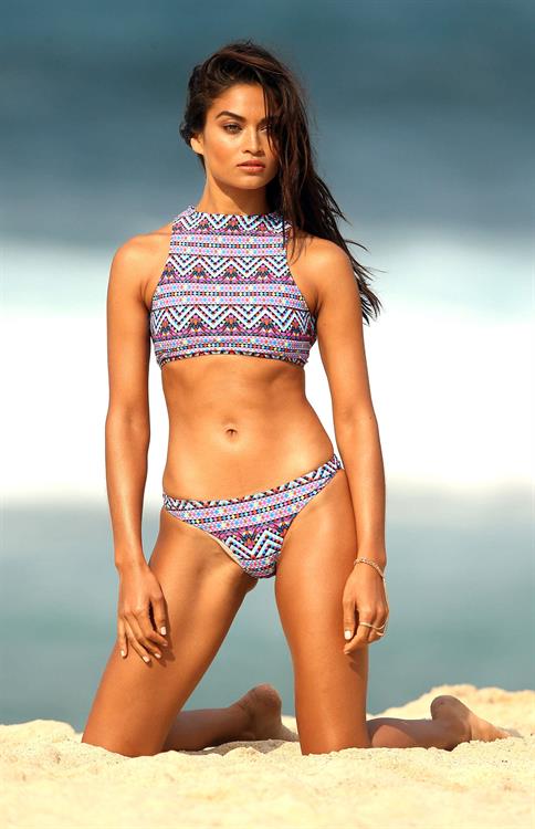 Shanina Shaik in a bikini