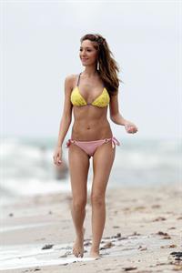 Farrah Abraham in a bikini