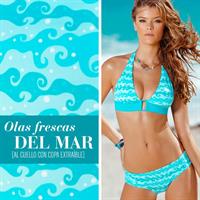 Nina Agdal in a bikini