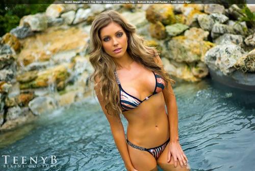 Shawn Michelle Dillon in a bikini