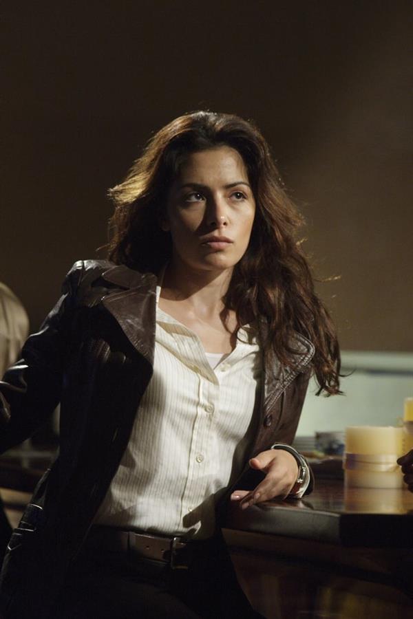 Sarah Shahi